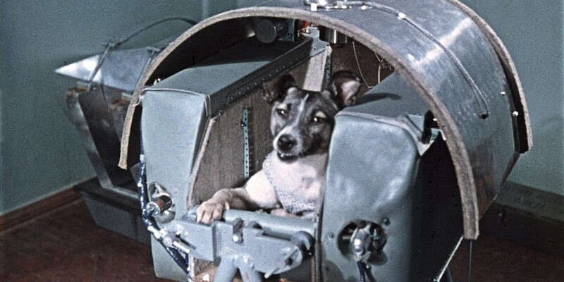 Los perros también viajaron al espacio: Laika, Belka y Strelka